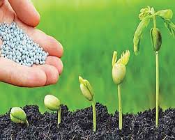 تصویر 3 از نام برند گابریست کودهای ارگانیک وبیولوژیک